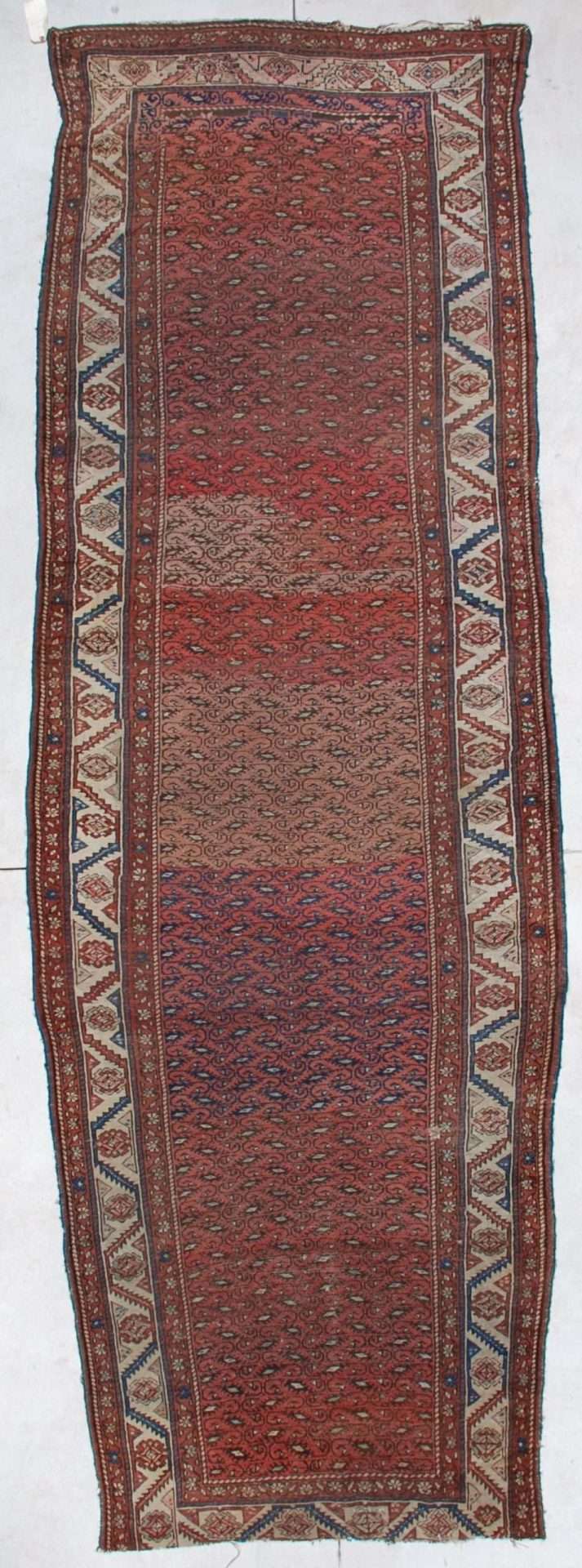 5165 Hamadan runner