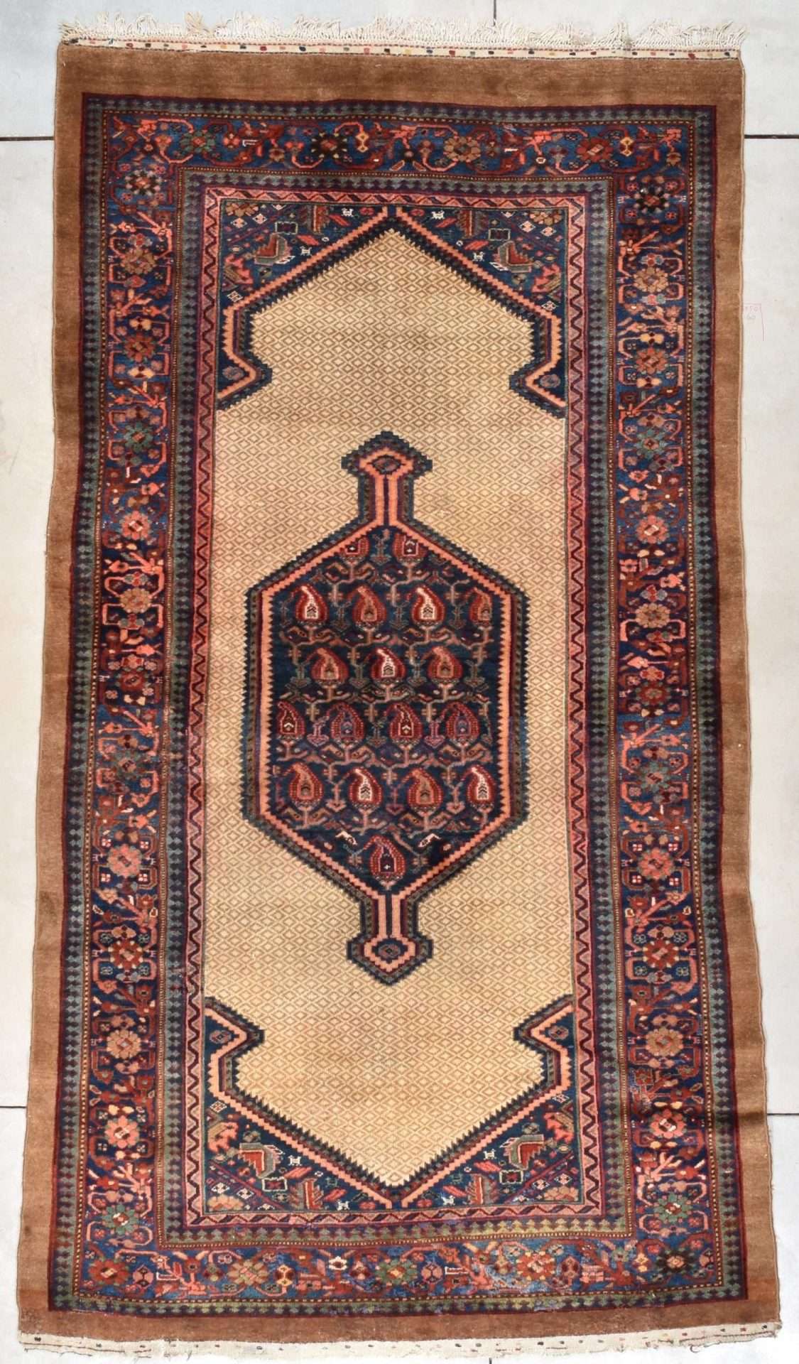 7801 Serab camel hair rug 5-10x10-10