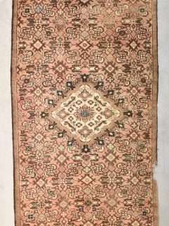 Hamadan Persian Rug image